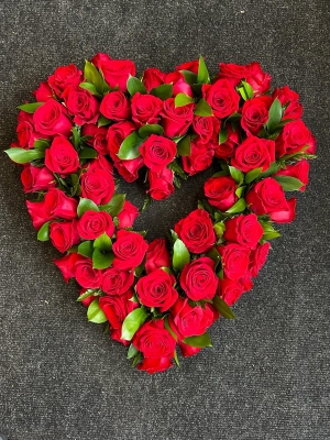 All red rose open heart